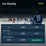 MetaSpins - Hockey Betting - Sports Betting